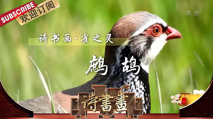 雀之靈·鷓鴣 辛棄疾登“郁孤台”遠望，“借水怨山”抒發國家興亡的感慨，對朝廷苟安江南的不滿和自己一籌莫展的愁悶 |《詩書畫》Becoming poetic 20200329【東方衛視官方頻道】 - 天天要聞