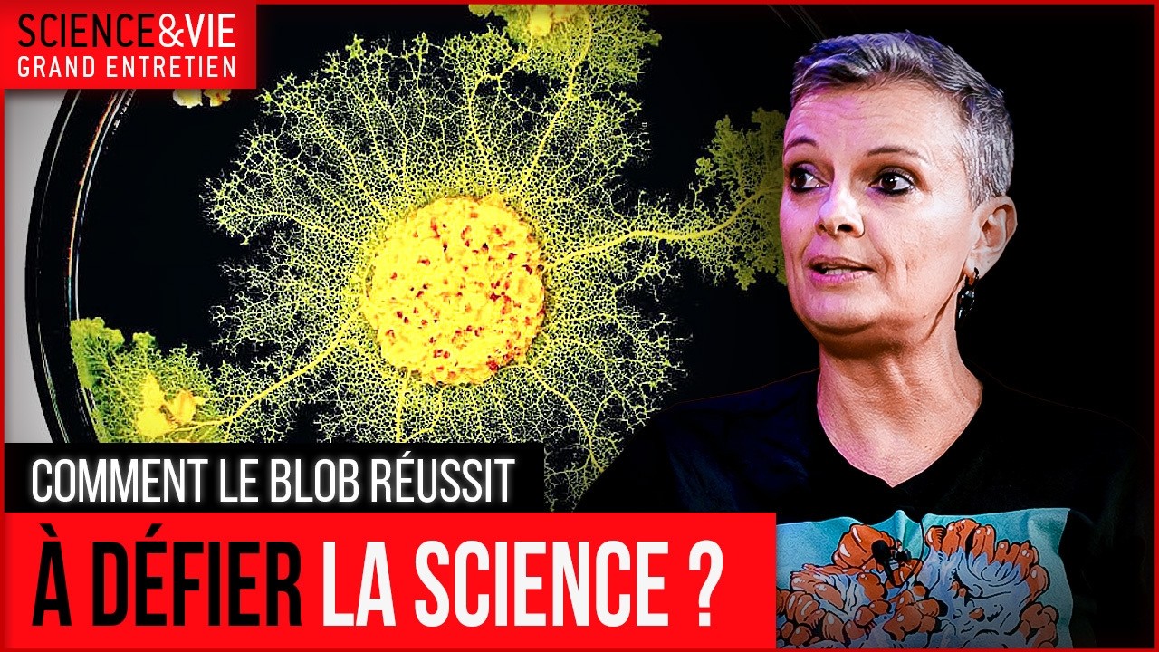L'Intelligence du Blob et le Pouvoir Manipulateur des Champignons