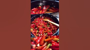 Sambal Chilli Paste / Pâte de piments Sambal