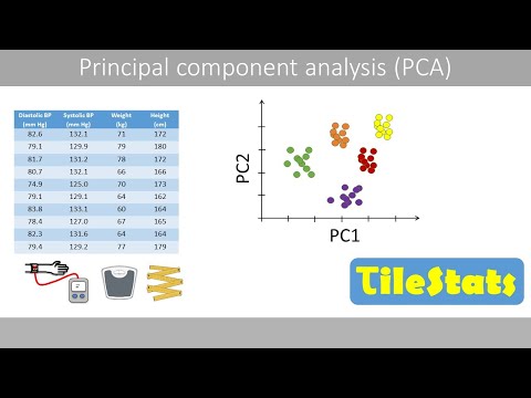 Video: Ano ang PCA code?