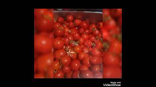 تجفيف الطماطم زي المصانع