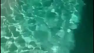 A certain woman doing some tanning while relaxing by the pool