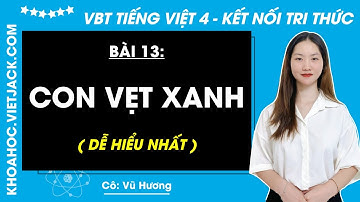 Vở bài tập Tiếng Việt Lớp 4 Bài 13: Con vẹt xanh - trang 42, 43, 44, 45 | Kết nối tri thức