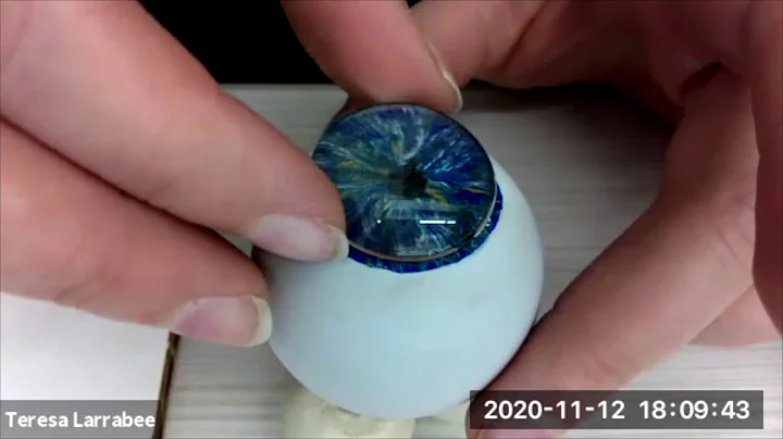 Glass-like Eyes