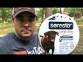 The Best Flea and Tick Control. Seresto Collars.