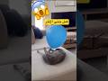على بلان كمل تاللخر  