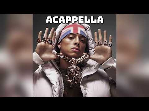 Central Cee No Introduction Studio Acappella 147BPM 