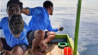 MATA PANCING HAMPIR MAU LURUS !! DAN AKHIRNYA IKANNYA TERTANGKAP LAGI😱💪💪