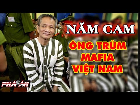 Video Trùm giang hồ Năm Cam: Cuộc đời bí ẩn, bị 
