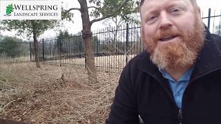 How To Prune Lantana In The Winter