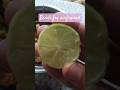 Bendi Fry Comment For Recepie ЁЯШЛ Bendifry Ladiesfingerfry Helathyfood Nooilbreakfast Bendi Fry Comment For Recepie ЁЯШЛ Bendifry Ladiesfingerfry Helathyfood Nooilbreakfast