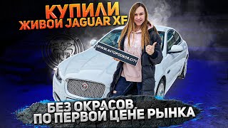 Jaguar XF по низу рынка. Реально ли найти живой?