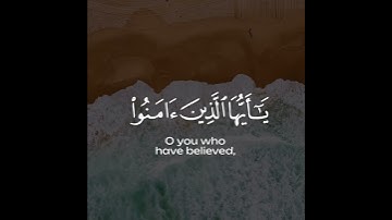 تلاوة هادئة تريح الأعصاب 😴🎧 القارئ: اسلام صبحى سورة: الأحزاب 💙❤