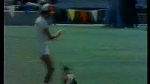 The one and only Ashley Whippet