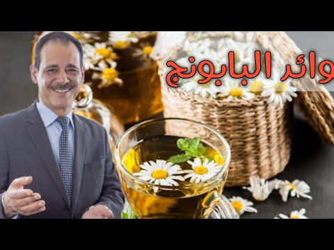 فوائد البابونج من خبير الاعشاب حسن خليفة رحمه الله