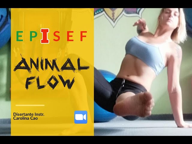 EPISEF -  Animal Flow