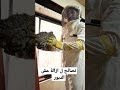 نصائح ازالة عش الدبور الاصفر او الديور الاحمر مع المهندس محمد 