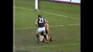 Best name for an AFL player ever? David Honybun from Richmond 1988-92.