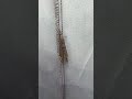 体はトンボで羽はセミの不思議で謎の生き物 #shorts #昆虫 #動物