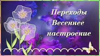 Цветочные переходы Весеннее настроение Proshow Producer