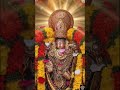 వెంకటేశ్వర స్వామి #venkateswaraswamy #venkateswara #hindugod #bhajan #bhakti #pooja #darshan #shorts