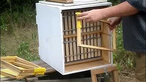 Announcing  the first 12+3 AZ hive built in  the USA