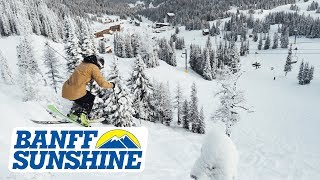 A Morning Full of Powder | Banff Sunshine Village | January 17/18