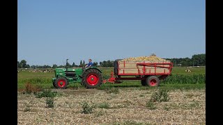 Deutz D8005 uien rooien