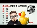 ❌【川普】一句话【蔡英文】表示压力很大|【美国】与【库尔德】人不得不说的故事|美国政府为人类整体智商操碎了心-伊拉克人表示智商税太高