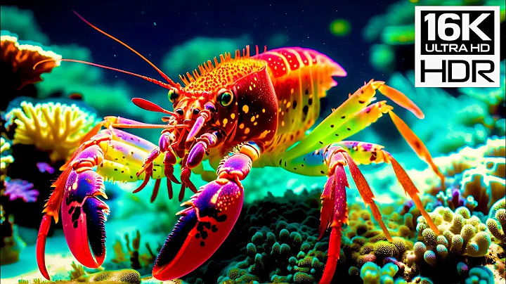 16K HDR Coral Reefs: A Tranquil Voyage Through Ocean Hues with Gentle Piano Ambience