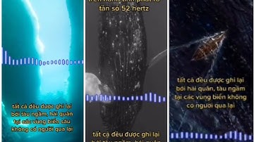 Những Âm thanh kỳ quái dưới đấy sâu đại dương