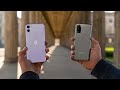 Galaxy S20 vs iPhone 11: After 1 Month!