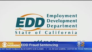 3 Florida Women Sentenced To Prison In California EDD Fraud