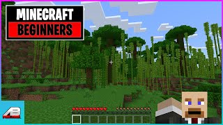 Minecraft Beginners Guide for Parents and Children Nintendo Switch Playstation xBox Bedrock