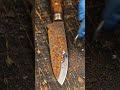 100% Rust Removal on an Old Kitchen Knife (Satisfying ASMR)