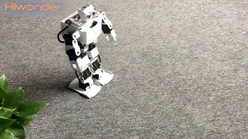 Section 14 |Hiwonder H3P Robot Prevent from fall down demo video