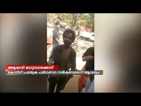 മധു വധക്കേസില്‍ സര്‍ക്കാര്‍ സ്‌പെഷ്യല്‍ പബ്ലിക് പ്രോസിക്യൂട്ടറെ നിയമിക്കണമെന്ന ആവശ്യം ശക്തമാകുന്നു