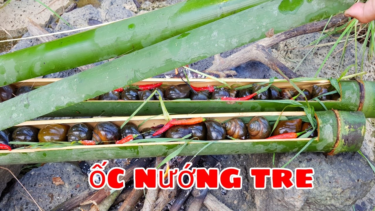 Ốc Rừng Nướng Ống Tre | Ẩm Thực Trong Rừng - YouTube