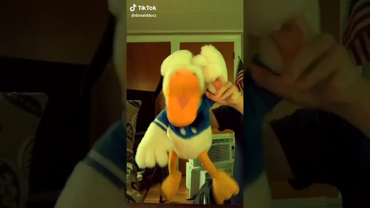 Tik tok video donalt duck - YouTube