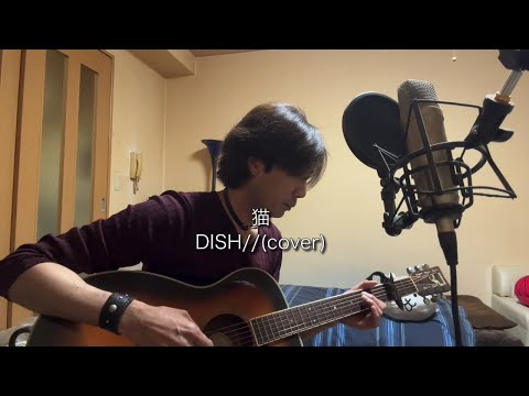 猫 / DISH// ギター弾き語りcover