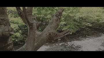 Nokia XR20 Cinema mode