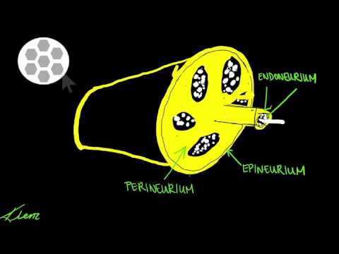 Forearm nerve blocks