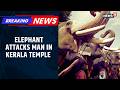 Shocking | Captive Elephant Attacks Man at Kerala’s Annamnada Mahadeva Temple | News18
