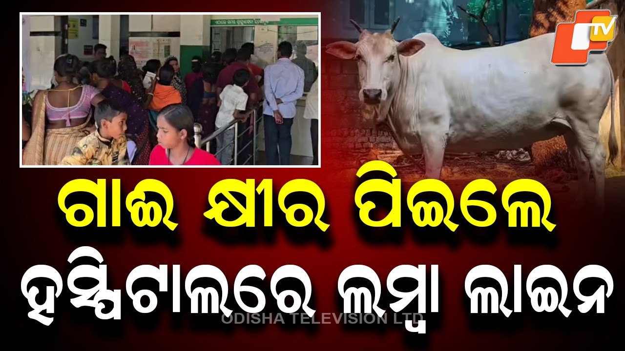 Panic After Drinking Cow Milk: Long Queues at Hospital in Umerkote