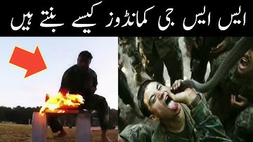 how become ssg commando | کمانڈو کیسے بنتے ہیں | alam tv urdu |