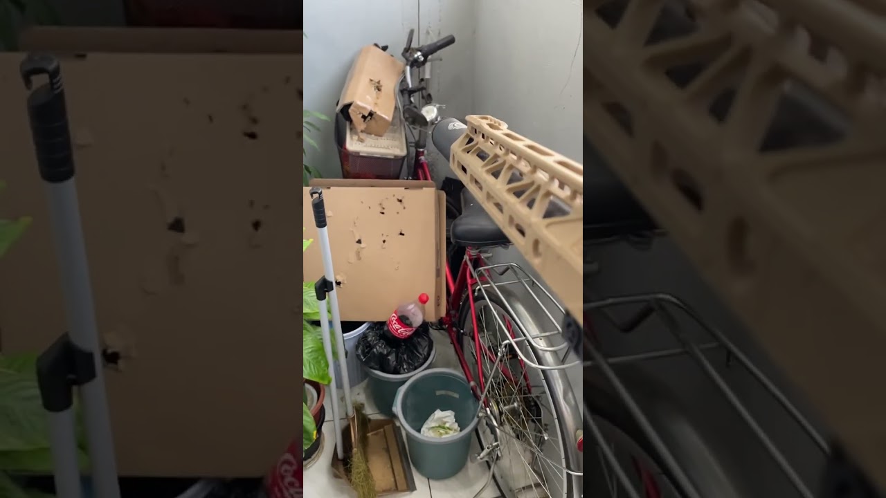 M90 Spring on ARP9 V4 Gelblaster testing 