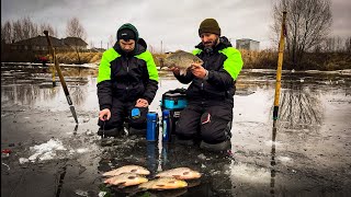 Карасі Мамонти рвуть мормишки і затягують в лунку