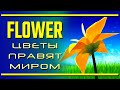 Обзор игры Flower. Цветы правят миром! | Последняя инстанция