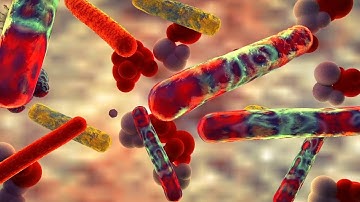 Condenser Tube Fouling Causes and Costs