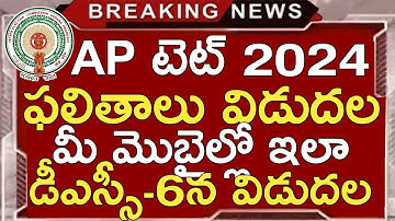 Ap Tet Resultaten 2024 | Ap Tet Rangkaarten Downloaden 2024 | Ap Tet Laatste Nieuws Vandaag | Ap ...